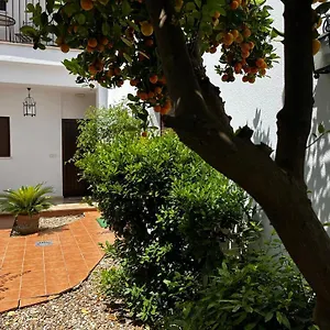 Acogedor Junto A Plaza De San Agustin Apartamento Córdoba